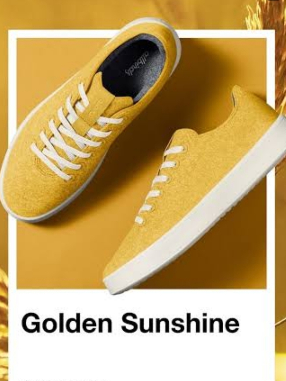 🆕 allbirds wool Cruiser Women's Sneakers 7 Sunshine